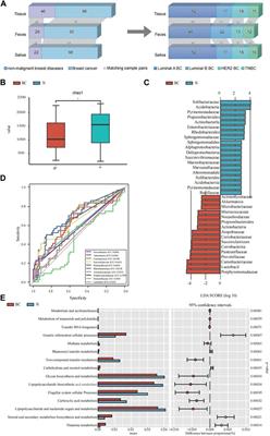 Relationships among breast, gut, and oral microbiota across diverse pathological types of breast cancer, a Chinese cohort study